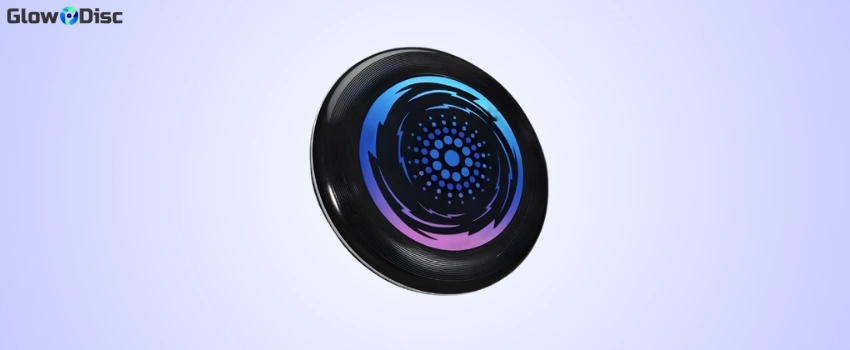 Flying Glow Disc Reviews