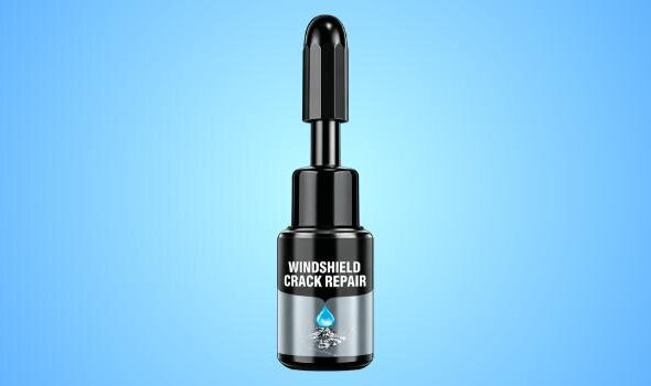 Glasyx Glass Crack Repair Kit Reviews